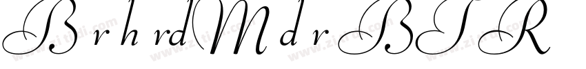 BernhardModernBT Rom字体转换